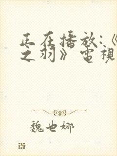 正在播放:《云之羽》电视剧高清免费