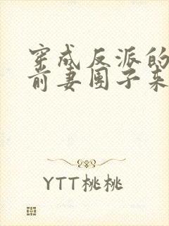 穿成反派的炮灰前妻团子来袭