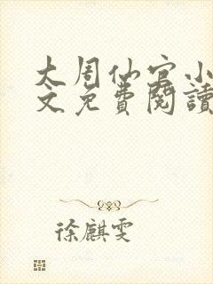 大周仙官小说全文免费阅读