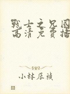 战士之兄国语版高清免费播放封面