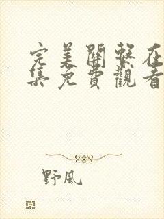 完美关系在线全集免费观看