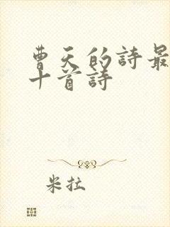 曹天的诗最经典十首诗封面