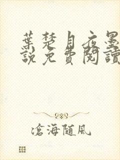 叶楚月夜墨寒小说免费阅读无弹跳窗