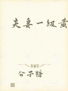 夫妻一级黄色片