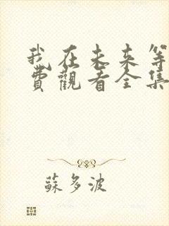 我在未来等你免费观看全集封面