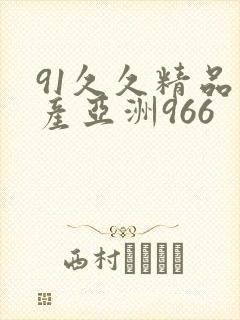 91久久精品国产亚洲966封面