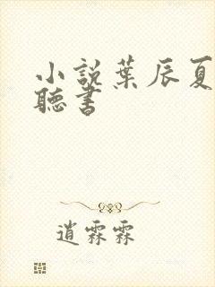 小说叶辰夏若雪听书