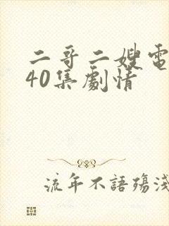 二哥二嫂电视剧40集剧情