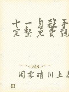 十一月杀手在线完整免费观看