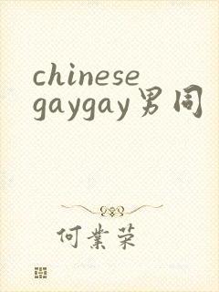 chinesegaygay男同