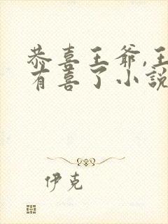 恭喜王爷,王妃有喜了小说全文免费阅读封面