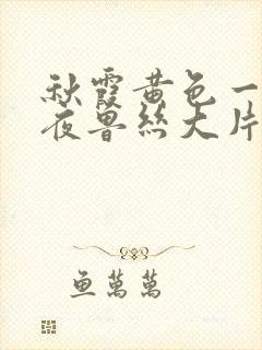 秋霞黄色一级午夜鲁丝大片