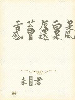 舌苔厚白是风热感冒还是风寒感冒封面