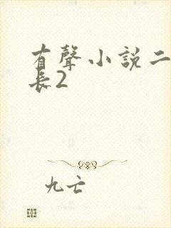 有声小说二号首长2