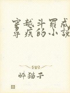 穿越斗罗成为千寻疾的小说