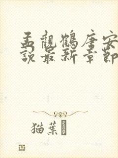 孟观鹤唐安意小说最新章节免费阅读