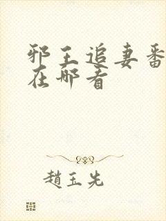 邪王追妻番外篇在哪看