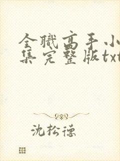 全职高手小说全集完整版txt