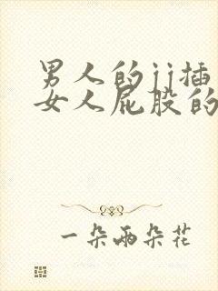 男人的jj插入女人屁股的视频