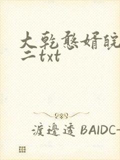 大乾憨婿皖南牛二txt