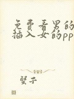 免费看男的jj插入女的pp