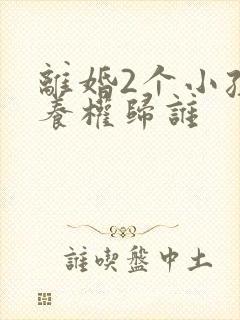 离婚2个小孩抚养权归谁