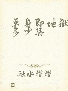 单身即地狱一共多少集