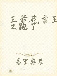 王爷,我家王妃又跑了