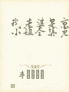 我老婆是京圈大小姐全集免费阅读