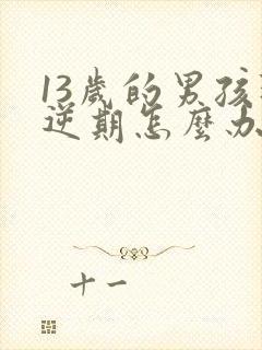 13岁的男孩叛逆期怎么办封面