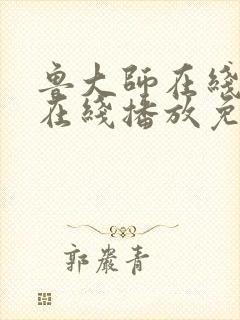 鲁大师在线视频在线播放免费观看