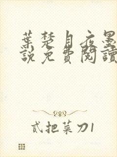 叶楚月夜墨寒小说免费阅读无弹跳窗