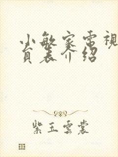 小敏家电视剧演员表介绍