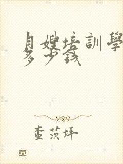 月嫂培训学月嫂多少钱封面