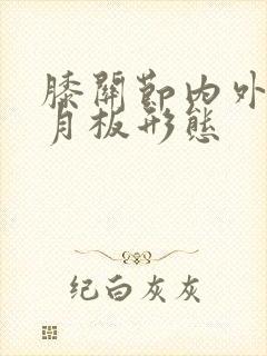 膝关节内外侧半月板形态