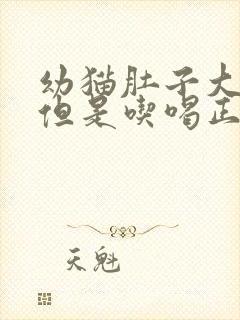 幼猫肚子大鼓鼓但是吃喝正常