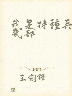 我是特种兵总共几部封面