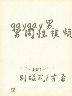 gaygay男男同性视频