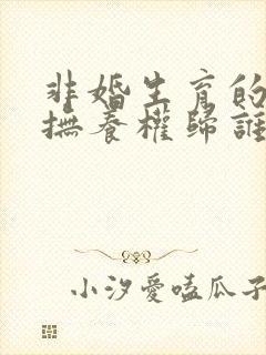 非婚生育的孩子抚养权归谁封面