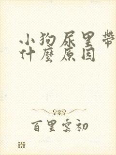 小狗尿里带血是什么原因封面