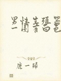 男性生殖器龟头一圈有白色颗粒封面