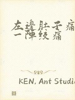 左边肚子痛一阵一阵绞痛封面