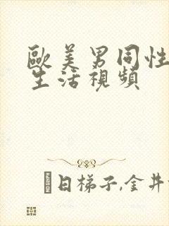 欧美男同性恋性生活视频