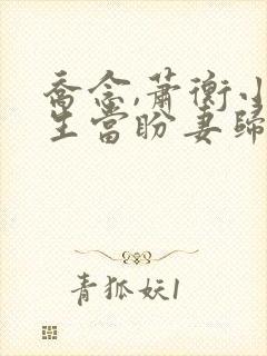 乔念,萧衡小说生当盼妻归