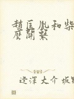 赵匡胤和柴家什么关系