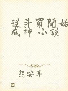 从斗罗开始逆天成神 小说