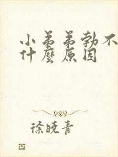 小弟弟勃不起是什么原因