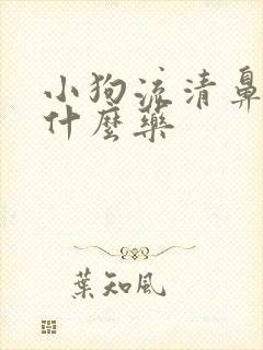 小狗流清鼻涕吃什么药