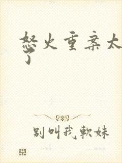 怒火重案太讽刺了