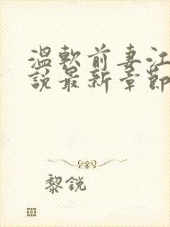 温软前妻江晚小说最新章节更新